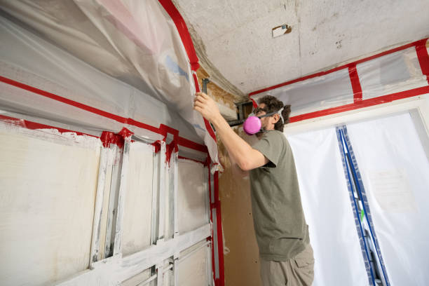 Best Mold Prevention Services  in Bennington, NE