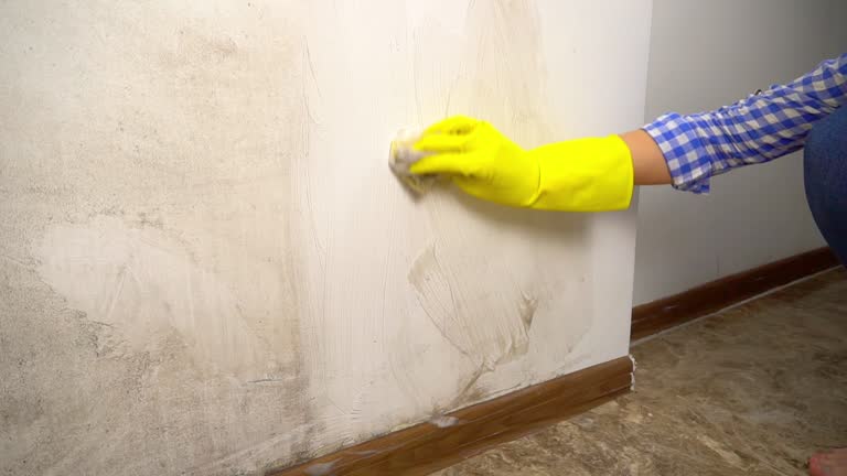 Forensic Mold Investigation in Bennington, NE