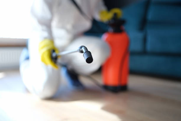 Best HVAC Mold Inspection and Cleaning  in Bennington, NE