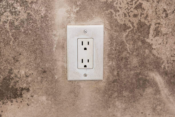 Best Post-Construction Mold Inspection  in Bennington, NE